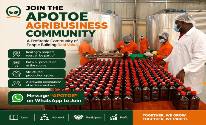 Palm Oil Production and Supply