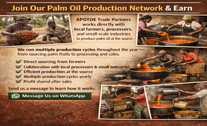 Palm Production